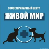 Клуб любителей кошек и собак  на проекте Kirov.vetspravka.ru