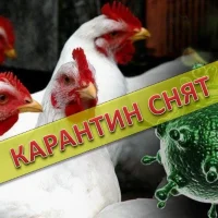 Ветеринарная клиника Кировская областная станция по борьбе с болезнями животных Фото 2 на проекте Kirov.vetspravka.ru Ветеринарная клиника Кировская областная станция по борьбе с болезнями животных Фото 2 на проекте Kirov.vetspravka.ru